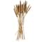 Dried Plant Bunny Tail Natural Foliage with Long Stems
